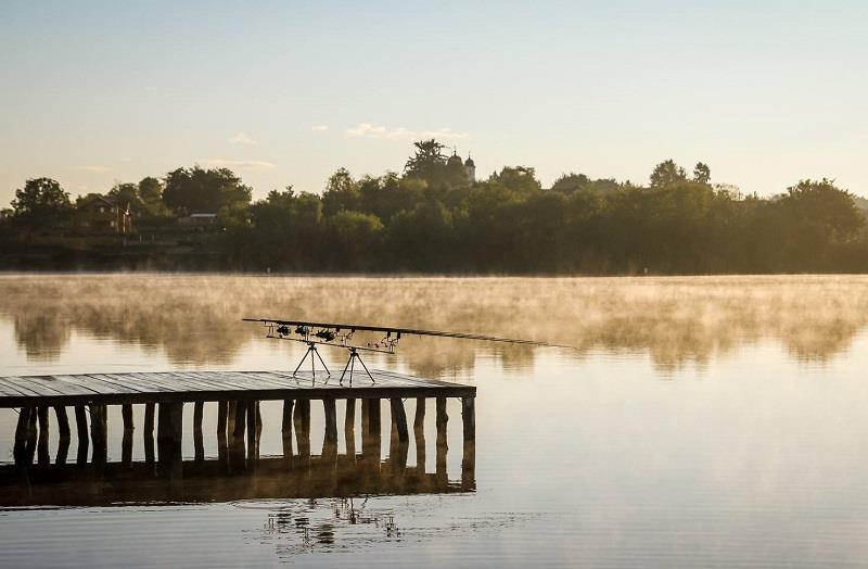 Lanseta de crap Spro Governor. Brand cunoscut la pret mic cu blanc din carbon.